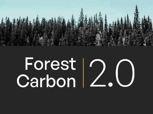 forest-carbon-2.0-trees-silhouette