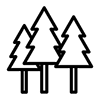 forestry-trees-icon forestry-trees-icon