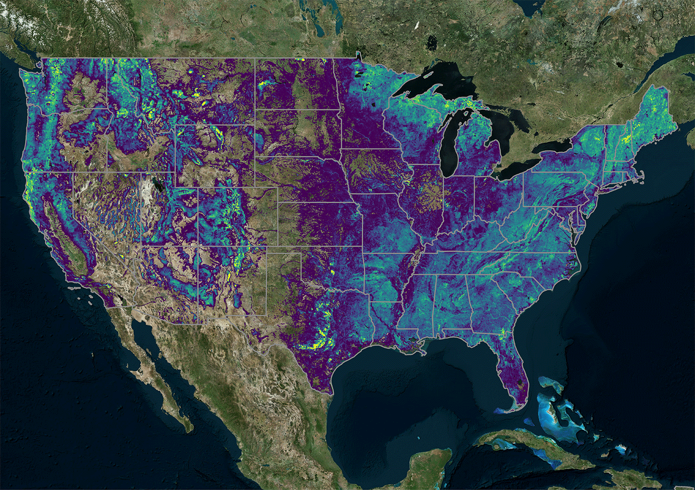A forest map of the contiguous United States showing every tree precisely mapped by NCX Basemap