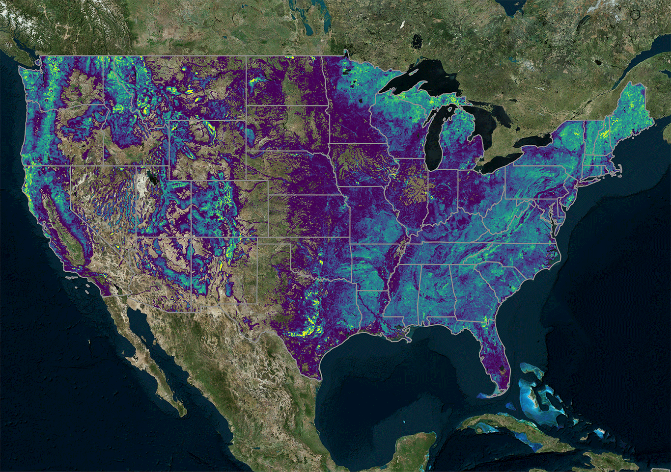 A forest map of the contiguous United States showing every tree precisely mapped by NCX Basemap A forest map of the contiguous United States showing every tree precisely mapped by NCX Basemap
