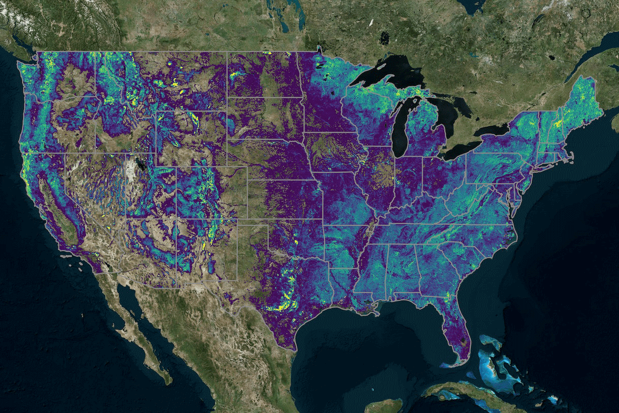 An NCX Basemap image of the contiguous United States showing tree and species density