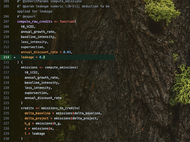 ncx-methdology-code-over-a-tree-with-lichen-1