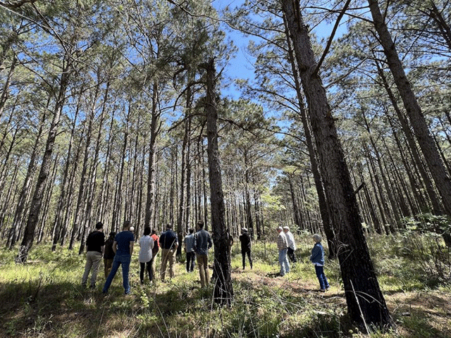 NCX customers, landowners, and foresters gather in a forest in East Texas