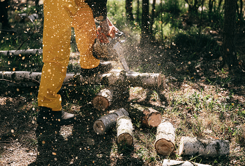 Person in yellow pants cutting a pile of logs with a chainsaw