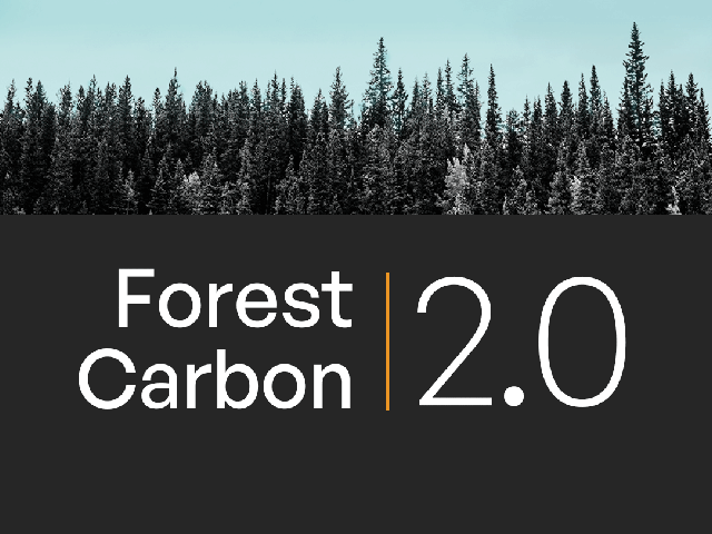 Silhouette of trees with the text, "Forest Carbon 2.0" overlaid